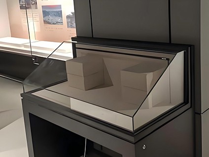Figure Display Cases