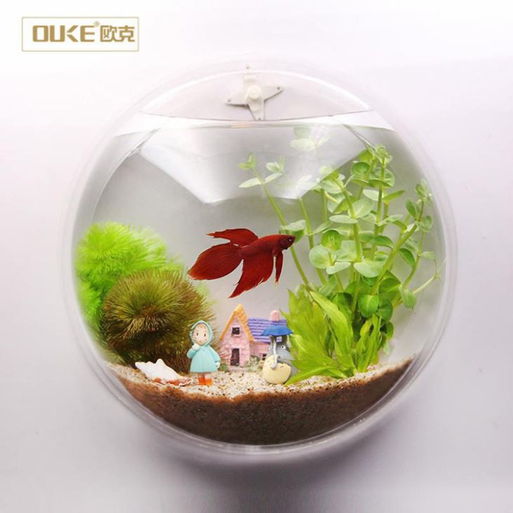 Custom 2018 Clear Wall-mounted Acrylic Tank Aquarium