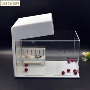 Cute comfortabil Acrylic Bird Pet Feeder